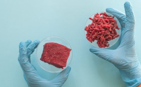 Lab Grown Meat Concept, Meat In Petri Dish