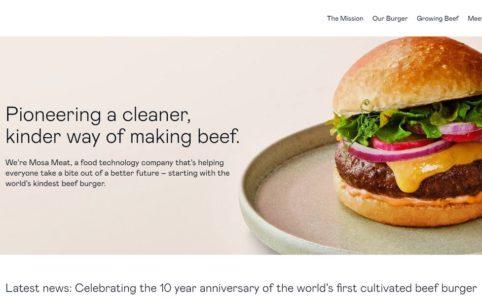 Mosa meat website main page