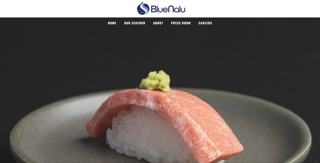 Bluenalu main page of website