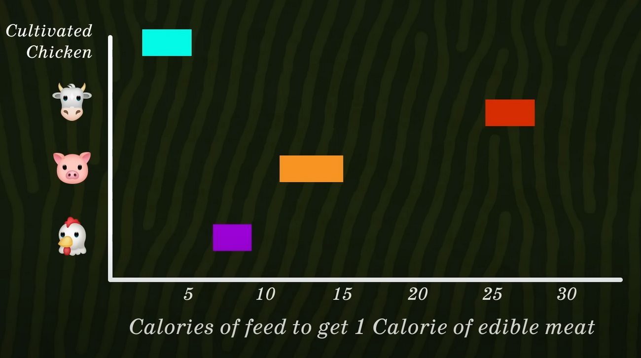 a graph depicting the number of calories you need to feed to grow 1 calorie of meat