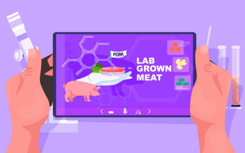 Scientist Analyzing Dna Of Cultured Pork Meat On Tablet Pc