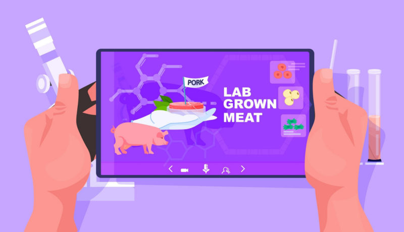 Scientist Analyzing Dna Of Cultured Pork Meat On Tablet Pc