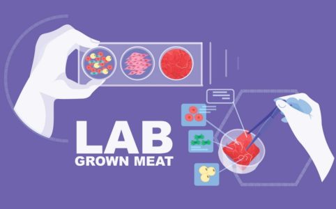 Scientist Hands Analyzing Dna Of Cultured Red Raw Meat