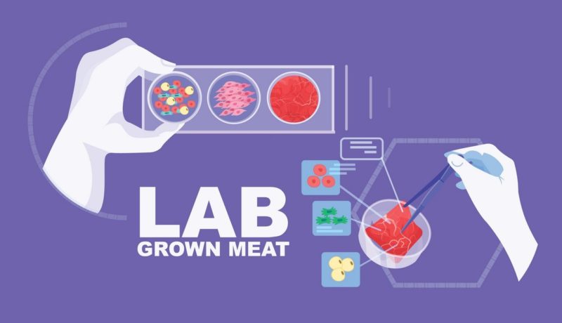 Scientist Hands Analyzing Dna Of Cultured Red Raw Meat